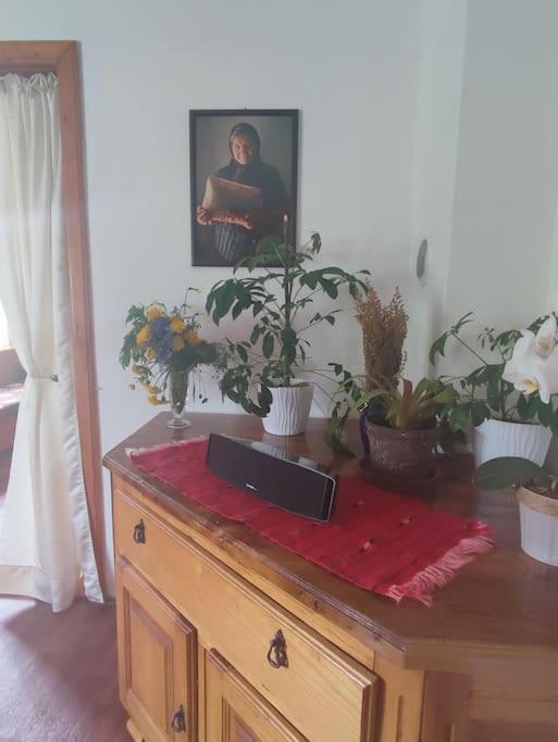 Cemerno Cottage Gacko 외부 사진